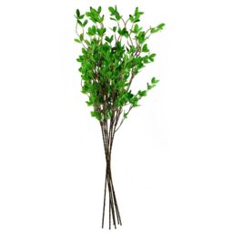 Leaf Pack of 6 x 100cm Mini Ficus Stem in Green - Size: 6 x 100 cm - thumbnail 2