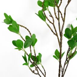 Leaf Pack of 6 x 100cm Mini Ficus Stem in Green - Size: 6 x 100 cm - thumbnail 4