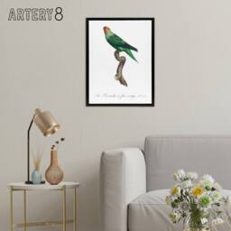 "Artery8 The Red Faced Parrot Francois Levaillant Framed Canvas Wall Art Print in White - Size: W24"" x H32""" - thumbnail 3