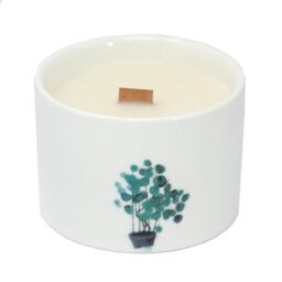 KDMD Med Botanical Candles - Mullberry Harvest in White - thumbnail 2