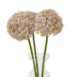 Sostter Lilac Giant Allium Stem for Fabulous Floral Flair - thumbnail 3