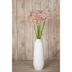 Sostter Lilac Giant Allium Stem for Fabulous Floral Flair - thumbnail 4