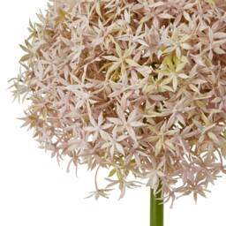 Sostter Lilac Giant Allium Stem for Fabulous Floral Flair - thumbnail 2
