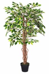 Homescapes Luxury 4ft Ficus Tree Variegated Artificial Plant, Real Stem, 120cm in Green