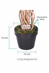 Homescapes Luxury 4ft Ficus Tree Variegated Artificial Plant, Real Stem, 120cm in Green - thumbnail 3