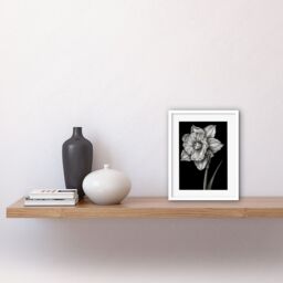 "Artery8 Wall Art Print Daffodil Flower Black & White Pencil Drawing Artwork Framed 9X7 Inch - Size: W7"" x H9""" - thumbnail 2