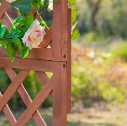 STILVORA Wooden Planter with Trellis 72.5 cm Orange in Natural - thumbnail 9