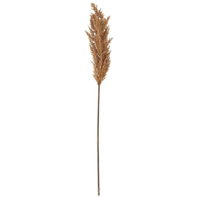 Lemon Pavilion Furniture and Decor Taupe Faux Dried Pampas Grass (Single Stem) - H68 cm in Brown - image 1