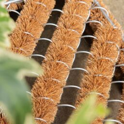 Nicola Spring Coir Knotted Scraper Door Mats - 35 x 30cm - Set of 2 in Brown - Size: 30 cm x 35 cm - thumbnail 7
