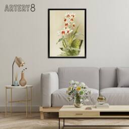 "Artery8 Frederick Sander Madagascar Swamp Orchid Flowers Framed Canvas Art - Size: W12"" x H16""" - thumbnail 3