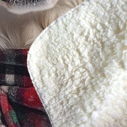 Warren Reed - Designer Christmas White Newfoundland Sherpa Blanket - Size: Large - thumbnail 3