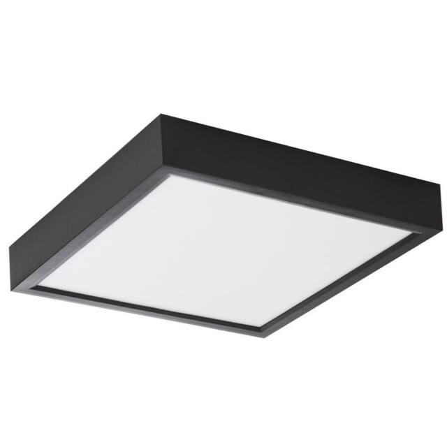 Netlighting Puccy Flush Ceiling Light Black LED Dimmable 3000K - image 1