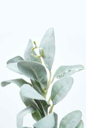 Homescapes Green Lambs Ear Foliage Garland 190 cm - thumbnail 3