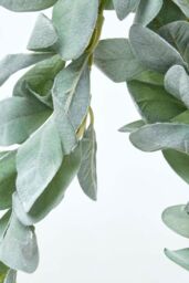 Homescapes Green Lambs Ear Foliage Garland 190 cm - thumbnail 2