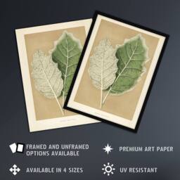 "Artery8 White Margined Nightshade Leaves Fawcett Framed Wall Art Print in Beige - Size: W12"" x H16""" - thumbnail 2