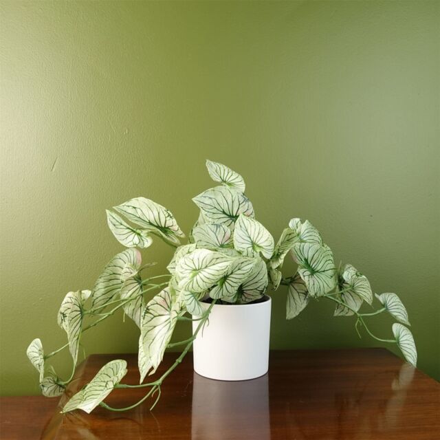 Leaf Artificial 30cm Trailing Plant Realistic Variegated Potted Alocasia in Green - image 1