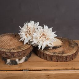 Love Lace Café Au Lait Artificial Flower in Orange - thumbnail 2