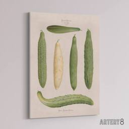 "Artery8 Frame Cucumbers Kitchen Decor Ernst Benary Canvas Wall Art Print in White - Size: W12"" x H16""" - thumbnail 2