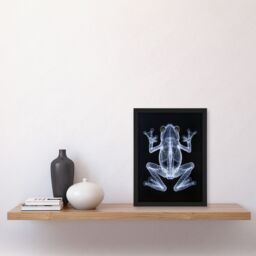 Artery8 Frog Detailed Dark Luminescent Xray Effect Framed Art Print in Black - Size: A4 - thumbnail 4