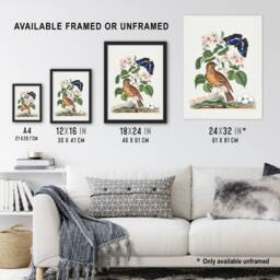 "Artery8 Spotted Flycatcher & Purple Emperor Bolton Framed Wall Art Print in White - Size: W12"" x H16""" - thumbnail 3