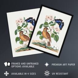 "Artery8 Spotted Flycatcher & Purple Emperor Bolton Framed Wall Art Print in White - Size: W12"" x H16""" - thumbnail 2