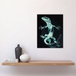 "Artery8 Smoke & Xray Effect Lizard Electric Blue Wall Art Print - Size: W24"" x H32""" - thumbnail 4