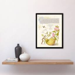 Artery8 Model Book of Calligraphy Framed Wall Art Beetle Flowers & Gourd - Size: A4 - thumbnail 2