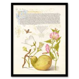 Artery8 Model Book of Calligraphy Framed Wall Art Beetle Flowers & Gourd - Size: A4 - thumbnail 1