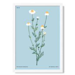 ARTZE Blue Daisies Flower Market Minimalist Framed Print SIZE: A2 with White Frame in Mid Blue - Size: A4 - thumbnail 1