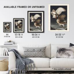 Artery8 Birds of America Barn Owl Audubon Nature Framed Wall Art Print in Grey - Size: A4 - thumbnail 3