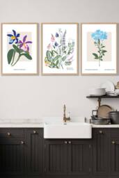 ARTZE Set of 3 Oak Framed Vintage Graphical Colourful Wild Flower Market Wall Art - Size: W45 cm x H62 cm x D20mm
