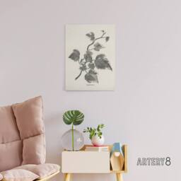 "Artery8 Vintage Botanical Marginata Ivy Hibberd Canvas Wall Art in White - Size: W18"" x H24""" - thumbnail 3