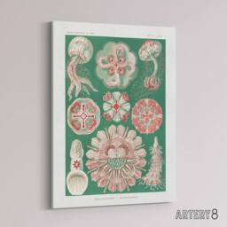 "Artery8 Green Pink Vintage Jellyfish Haeckel Botanical Canvas Wall Art - Size: W18"" x H24""" - thumbnail 2