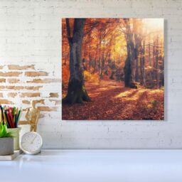 Warren Reed - Designer Autumn Forest Canvas in Brown - Size: w40 inch x h40 inch - thumbnail 2