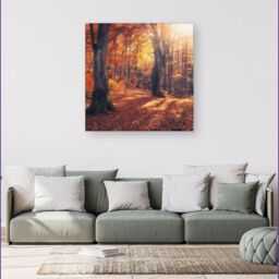 Warren Reed - Designer Autumn Forest Canvas in Brown - Size: w40 inch x h40 inch - thumbnail 4