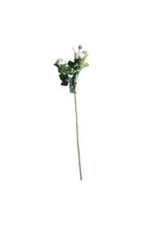 KDMD Camelot Garden Rose Spray Champagne 2 Pack in White - thumbnail 6