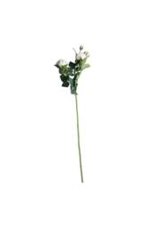 KDMD Camelot Garden Rose Spray Champagne 2 Pack in White - thumbnail 4