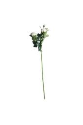 KDMD Camelot Garden Rose Spray Champagne 2 Pack in White - thumbnail 5