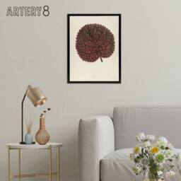 "Artery8 Vintage Botanical Gesnera Exoniensis Leaf Fawcett Framed Canvas Art in Beige - Size: W12"" x H16""" - thumbnail 3