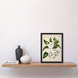 Artery8 Sarah Featon Framed Wall Art Hibiscus & Saltmarsh Ribbonwood Flowers in Beige - Size: A4 - thumbnail 2