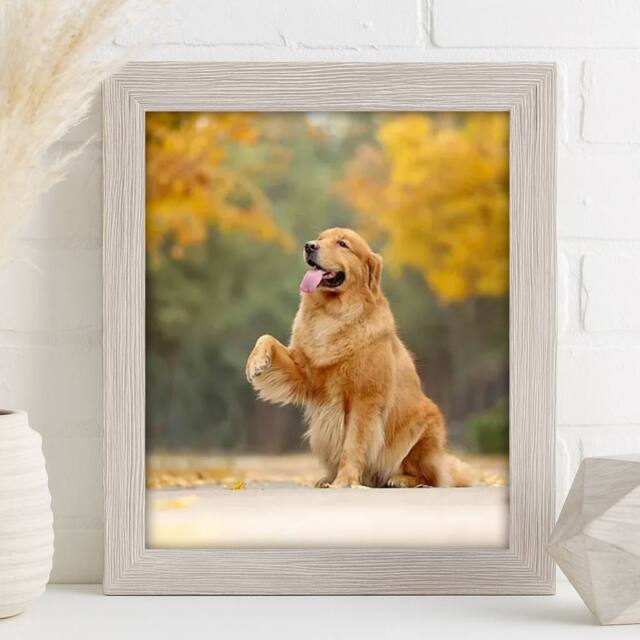 Voltico MDF Photo Wood Grain Frame 8x10inch Picture Holder in Light Grey - image 1