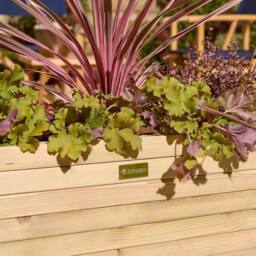 Rowlinsons Premier Patio Trough Planter 1.2m - Timber - L40 x W120 x H37 cm in Light Brown - thumbnail 5