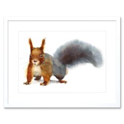 "Artery8 Wall Art Print Squirrel Watercolour Cute Art Framed 9x7 inch in White - Size: W7"" x H9""" - thumbnail 1