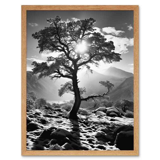 Artery8 Wall Art Print Frozen Tree Outline in Mountain Forest Landscape Covered in Snow Black & White Photograph Winter Sunshine Art Framed - image 1