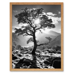 Artery8 Wall Art Print Frozen Tree Outline in Mountain Forest Landscape Covered in Snow Black & White Photograph Winter Sunshine Art Framed - thumbnail 1