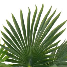 Berkfield Home Artificial Plant Palm with Pot Green 70 cm - thumbnail 2