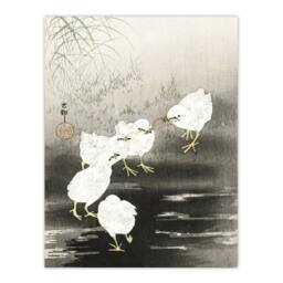 "Artery8 Chicks Birds Worms Vintage Japan Wall Art Print Ohara Koson in Grey - Size: W12"" x H16""" - thumbnail 1