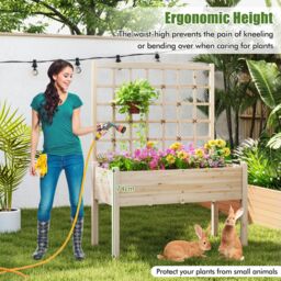 Costway Raised Garden Bed w/ Lattice Trellis & Drainage Holes-Natural in Natural - thumbnail 3