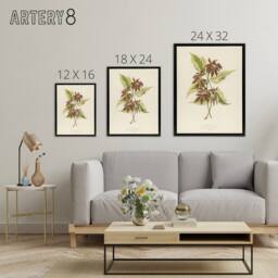 "Artery8 Vintage Botanical Boxelder Maple Leaves Fawcett Framed Canvas Wall Art in Beige - Size: W12"" x H16""" - thumbnail 4