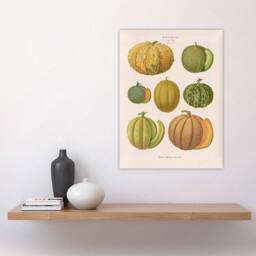 "Artery8 Melons Fruit Vintage Kitchen Ernst Benary Wall Art Poster Print in White - Size: W12"" x H16""" - thumbnail 4